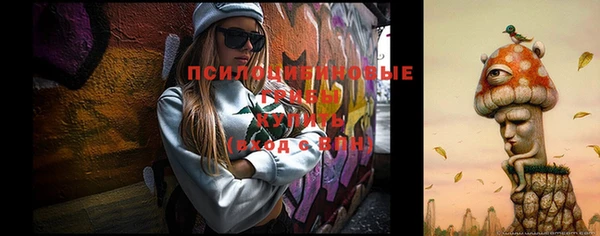 прущие крисы Алексин