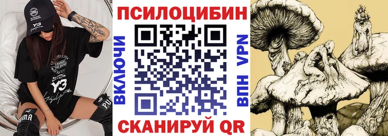 Псилоцибиновые грибы мицелий Егорьевск